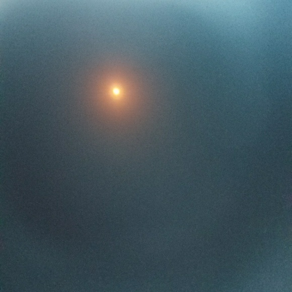 Meet your Posher, Erica - Picture 1 of 1